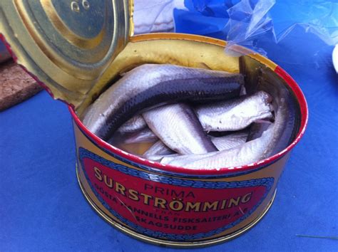 the stinkiest fish in the world|Swedish Surströmming – Everything You Need To。